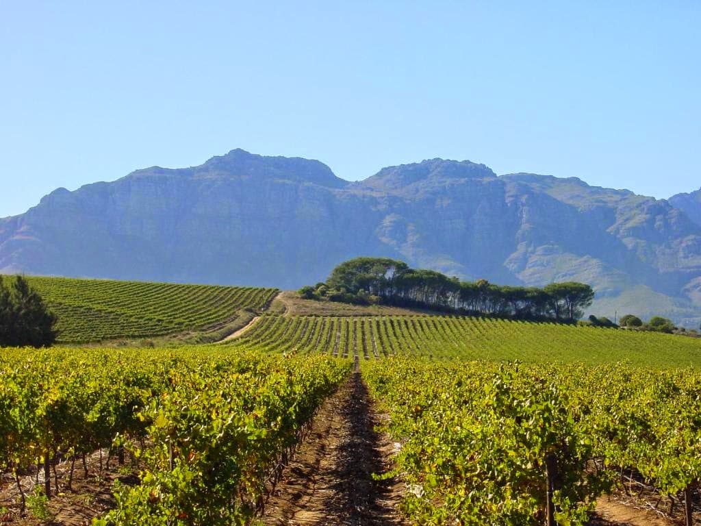 Kleine Zalze Wine Estate - Image 1