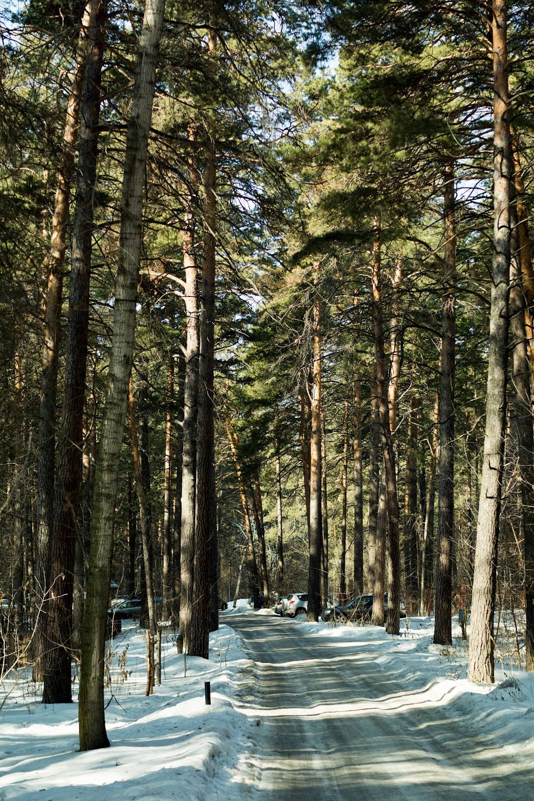 Children's Play Areas