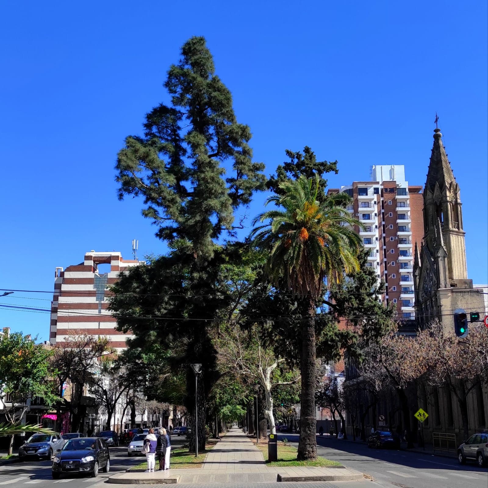 Bulevar Galvez - Image 1