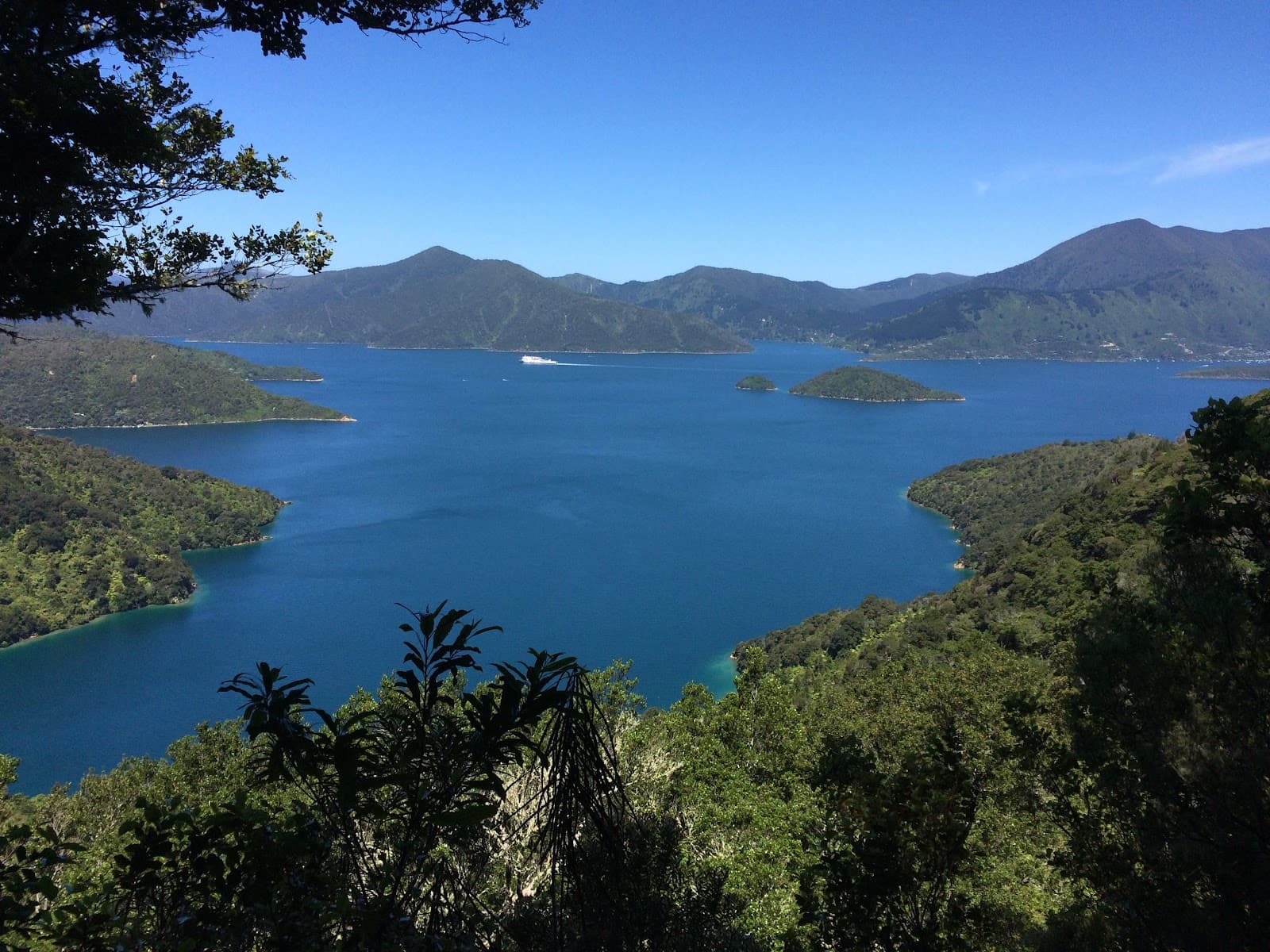 Torea Saddle Portage - Image 1