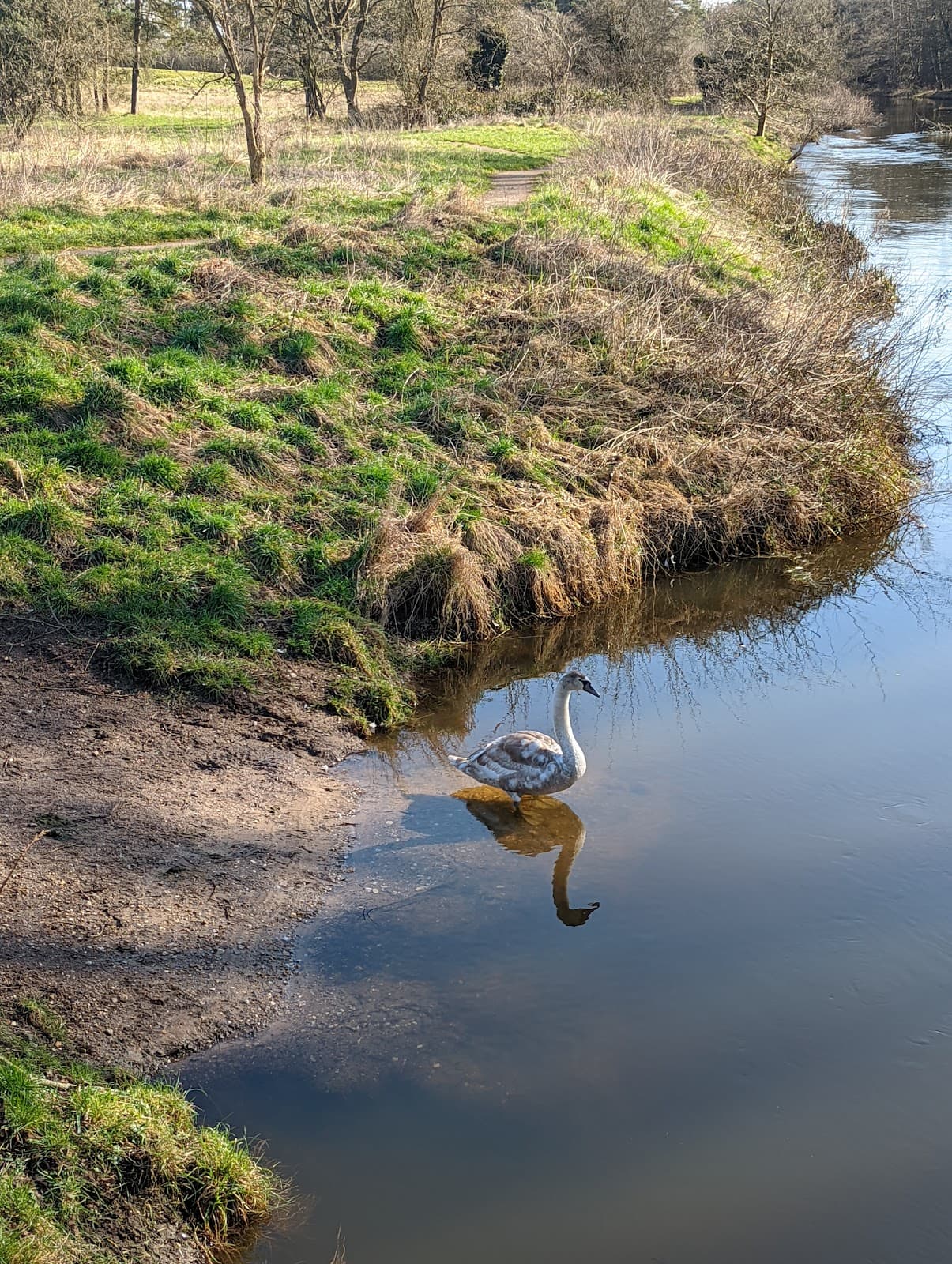 St Helen's Picnic Site & Santon Downham Ford - Image 1