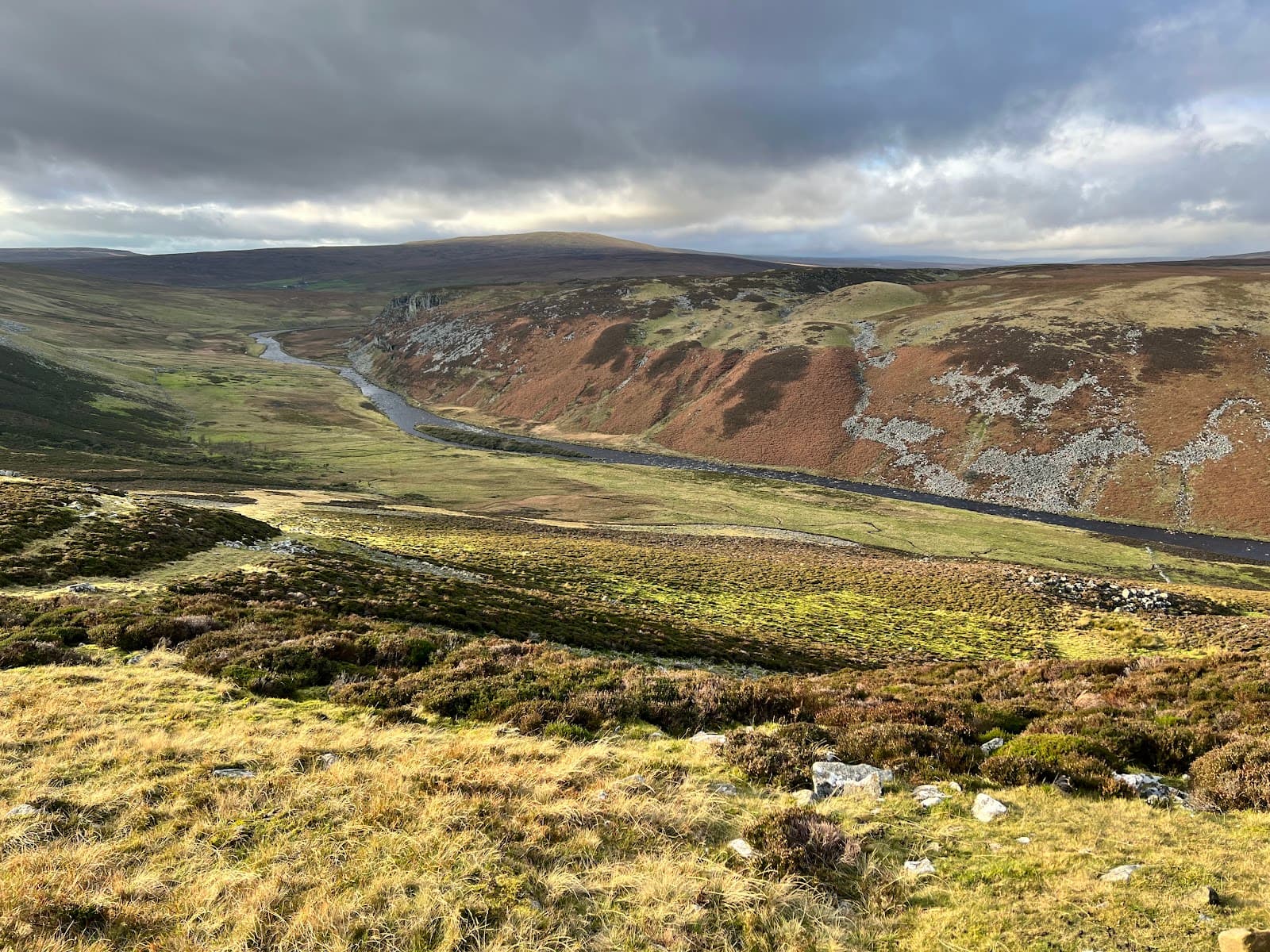 Upper Teesdale National Nature Reserve - Image 1