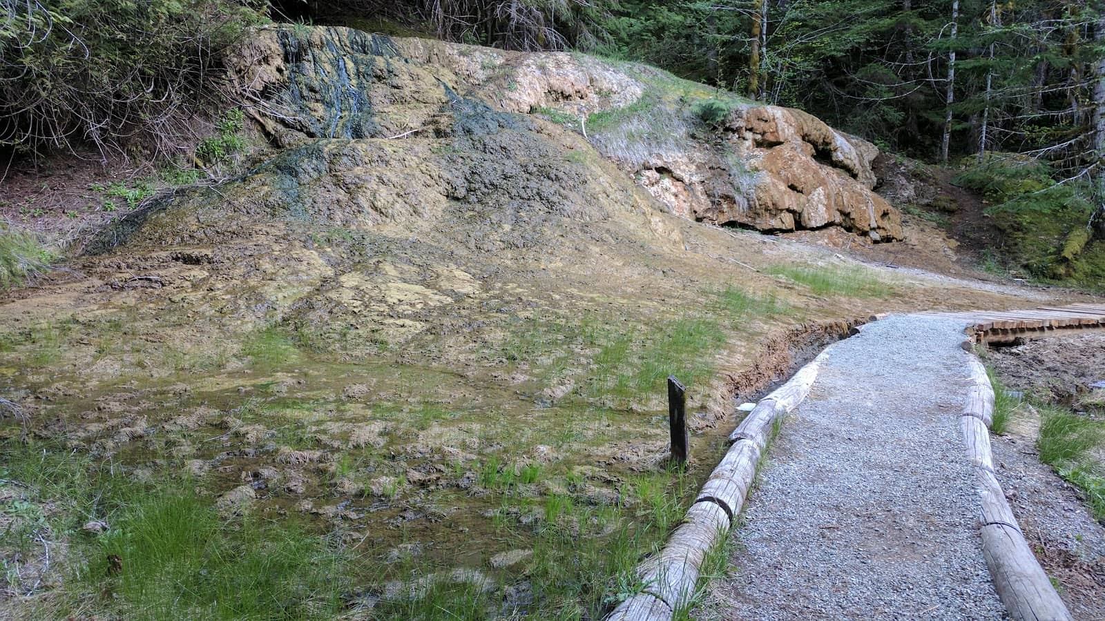 Ohanapecosh Campground