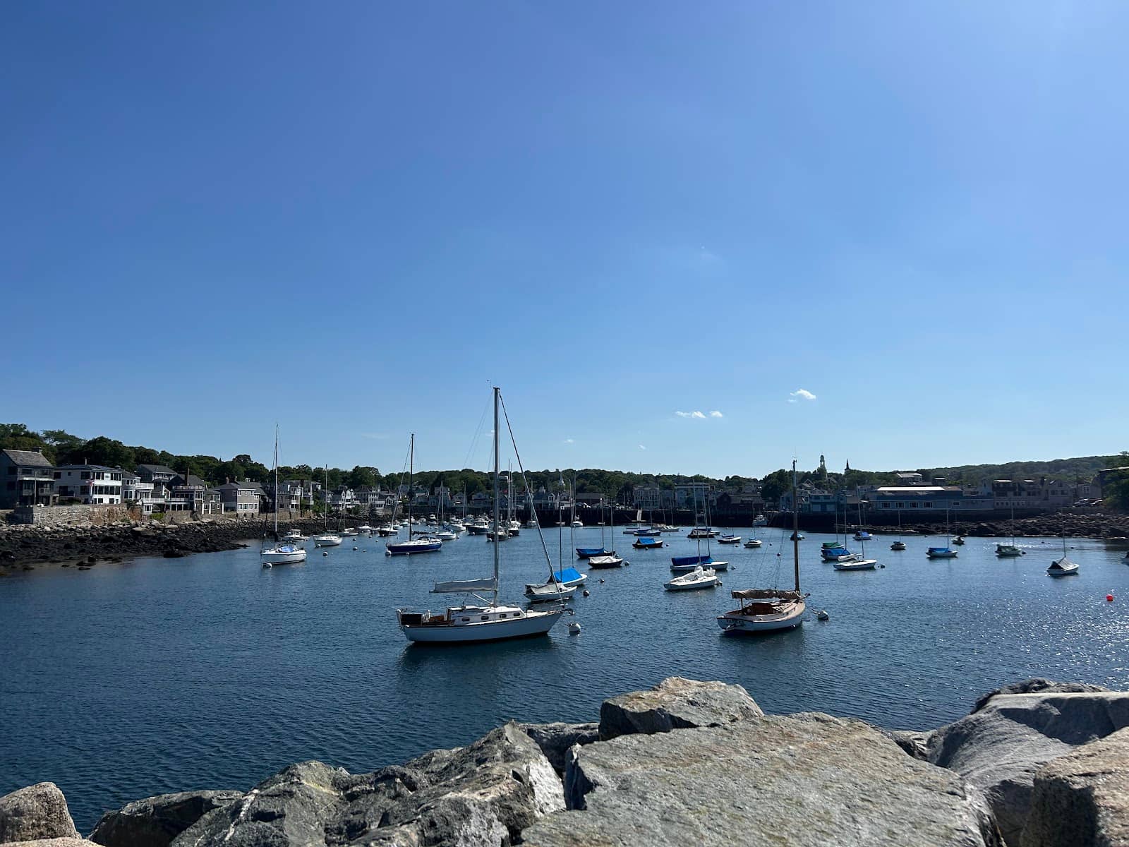 Low Tide Exploration