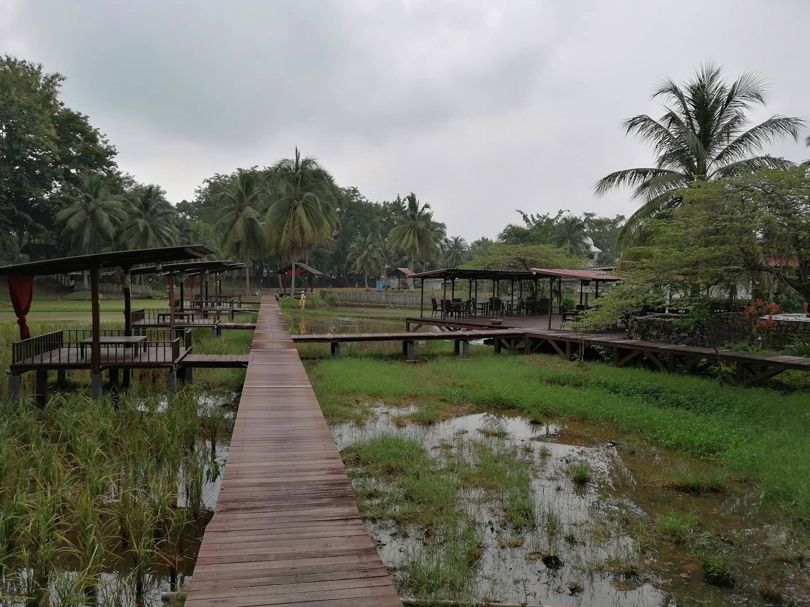 Coconut Grating Demonstration
