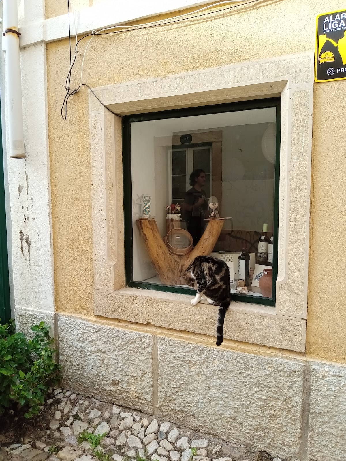 Street-Side Ambiance