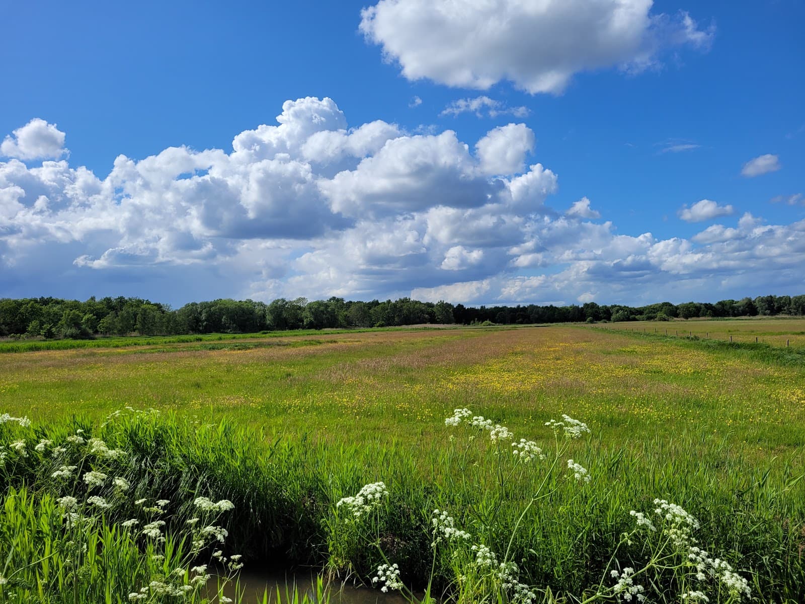 Park Links der Weser - Image 1