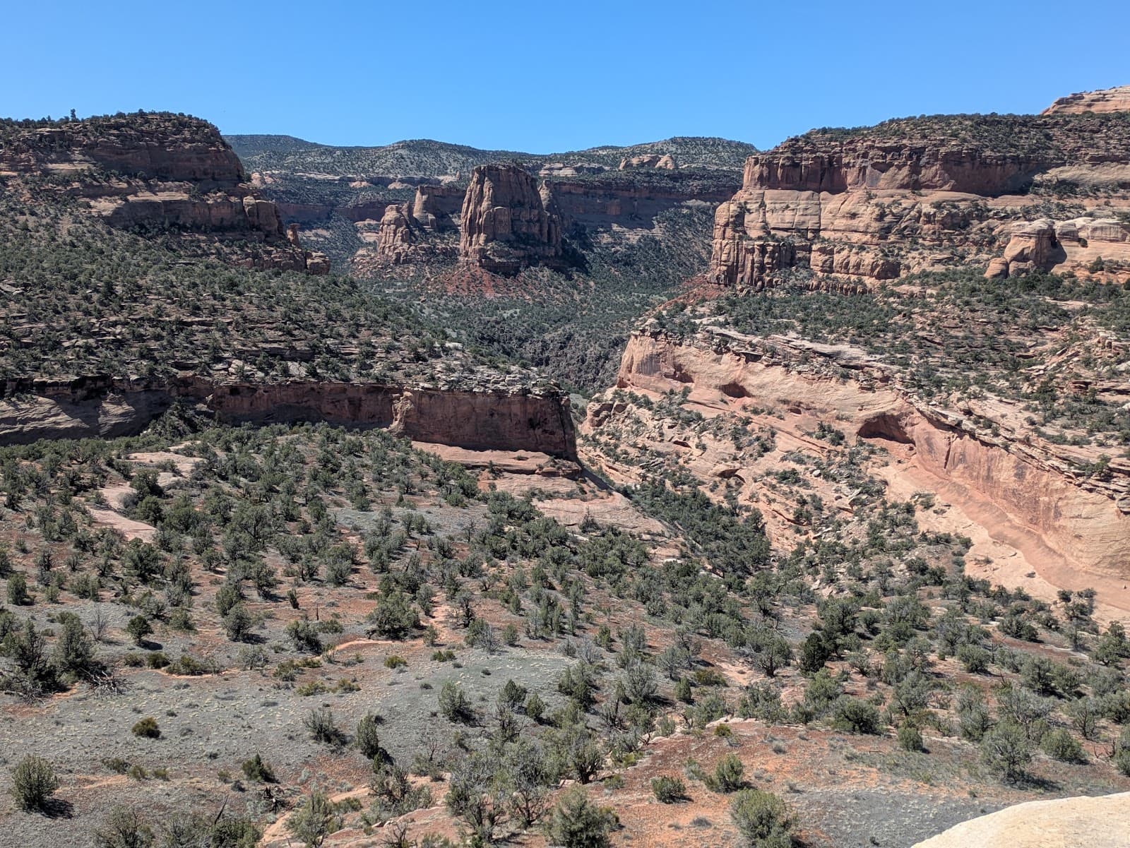 Pollock Bench Trail - Image 1