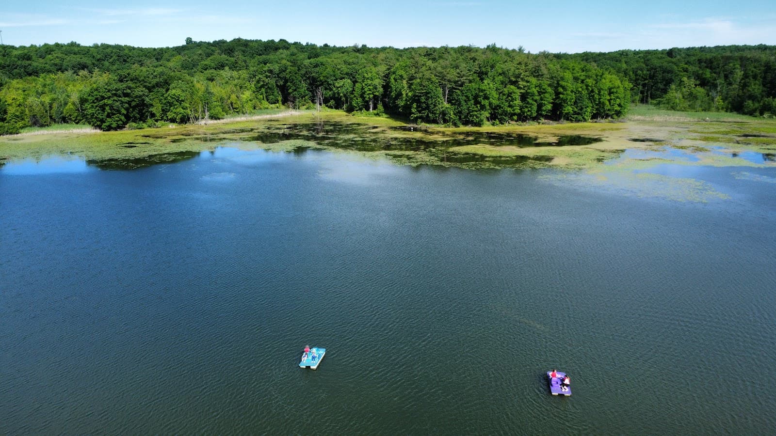 Addison Oaks County Park - Image 1