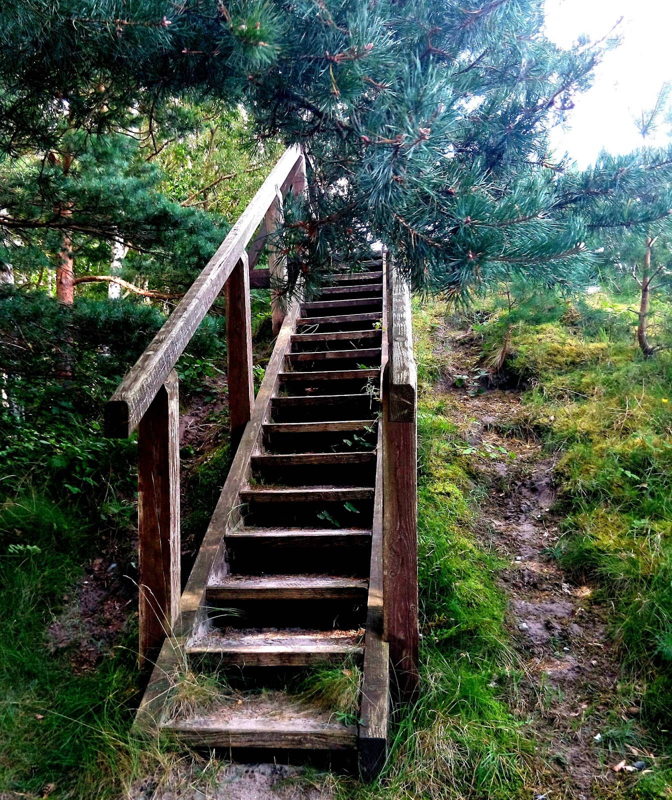 Vertical photo