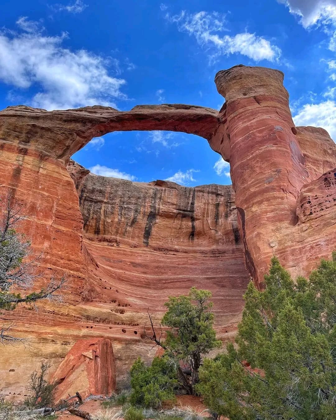 Rattlesnake Arches - Image 1