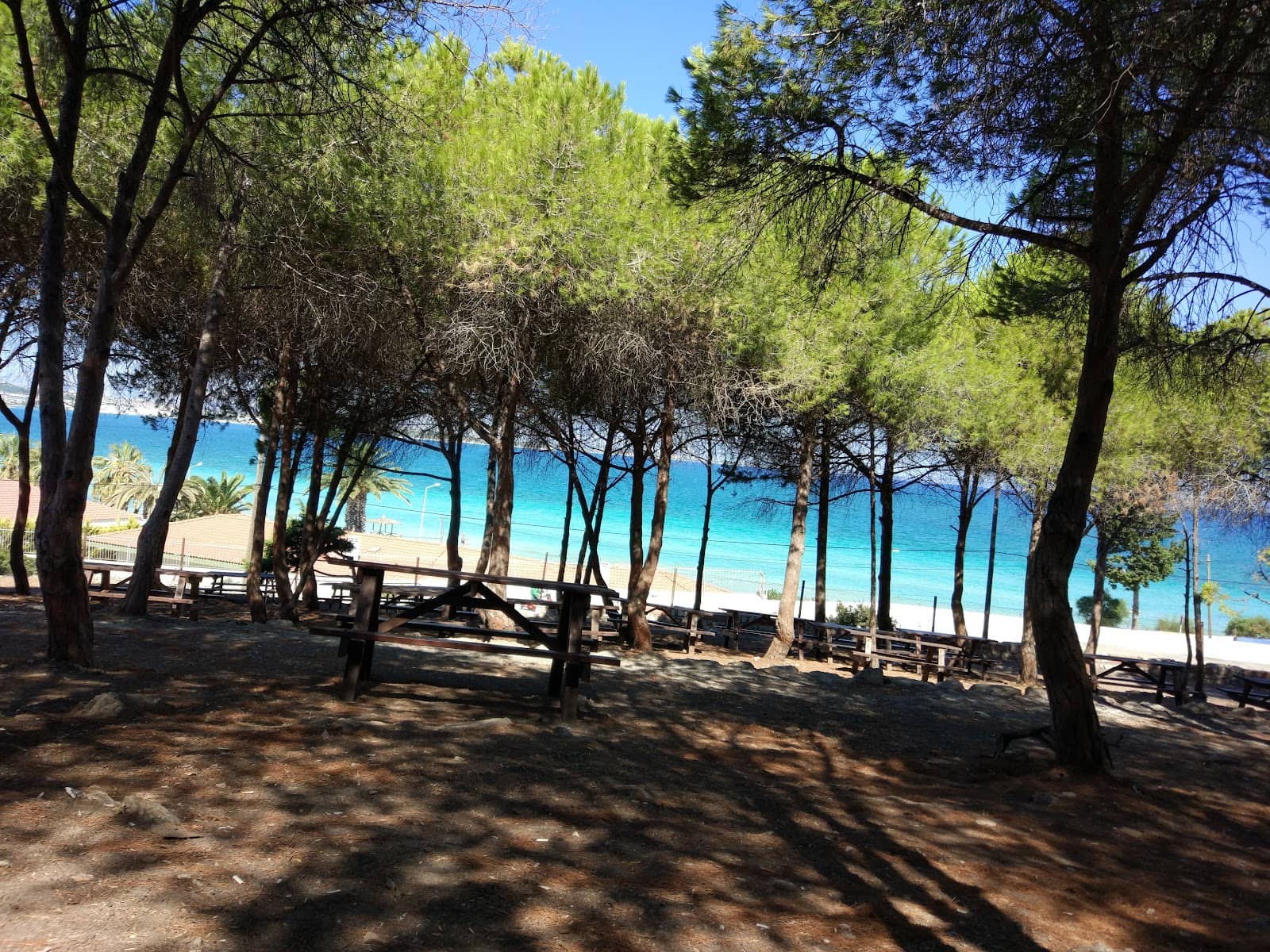 Camping & Glamping Escapes