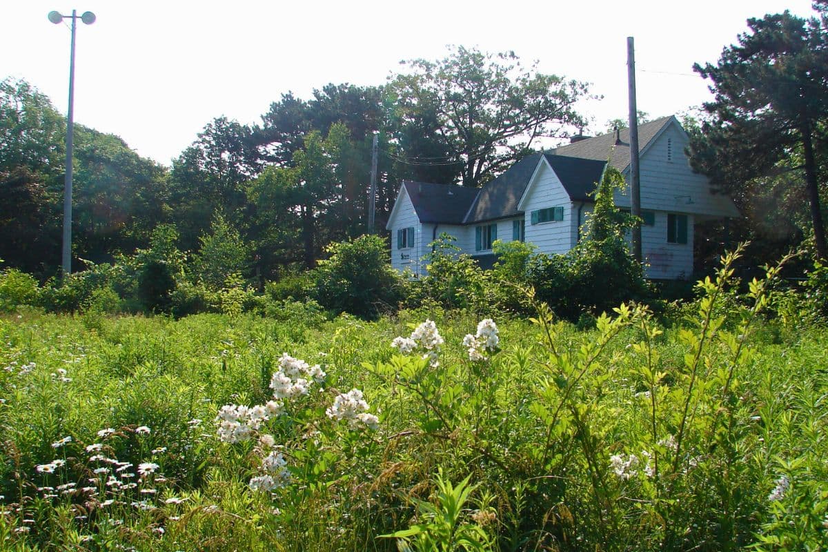 High Park Nature Centre - Image 1