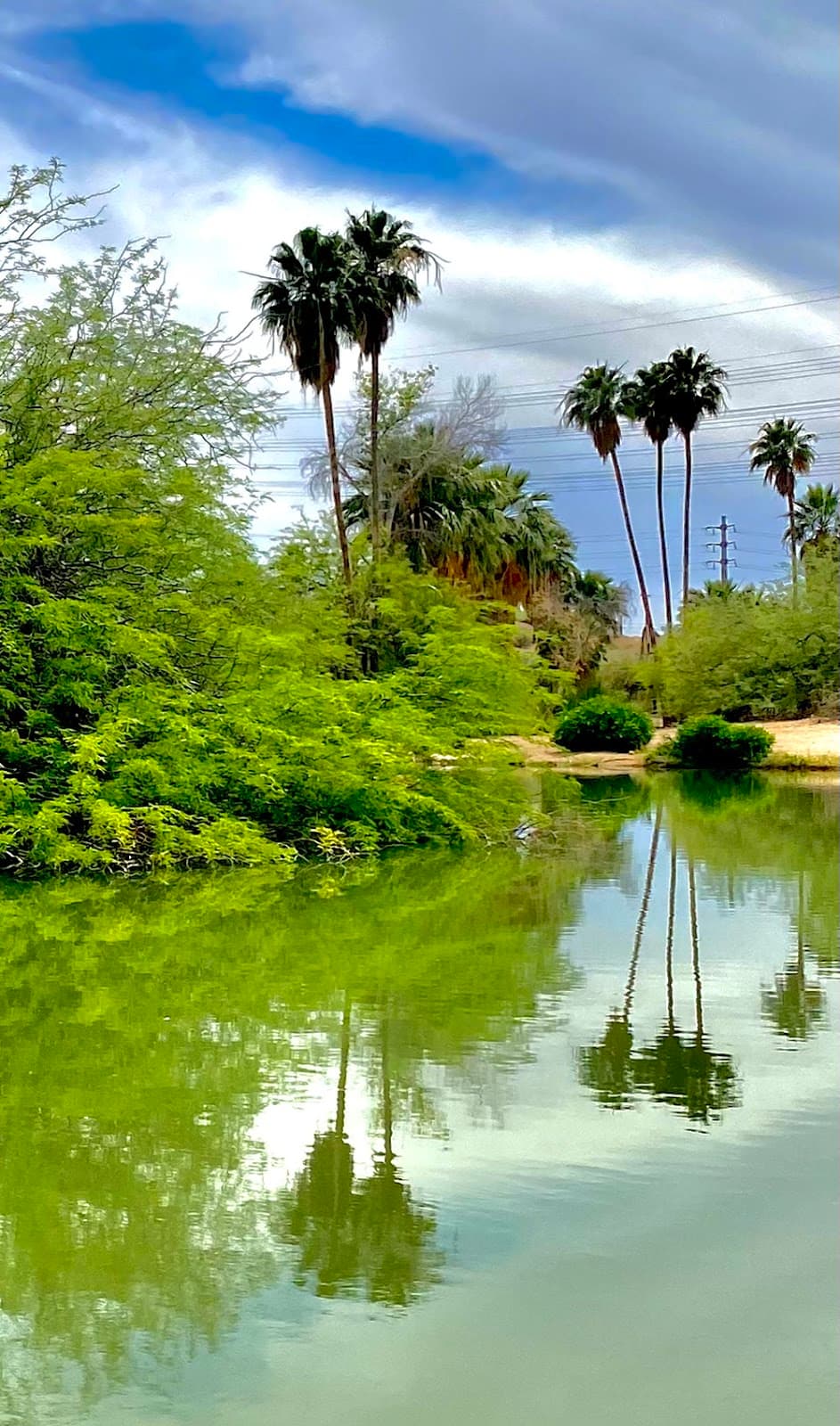 Evelyn Hallman Park - Image 1