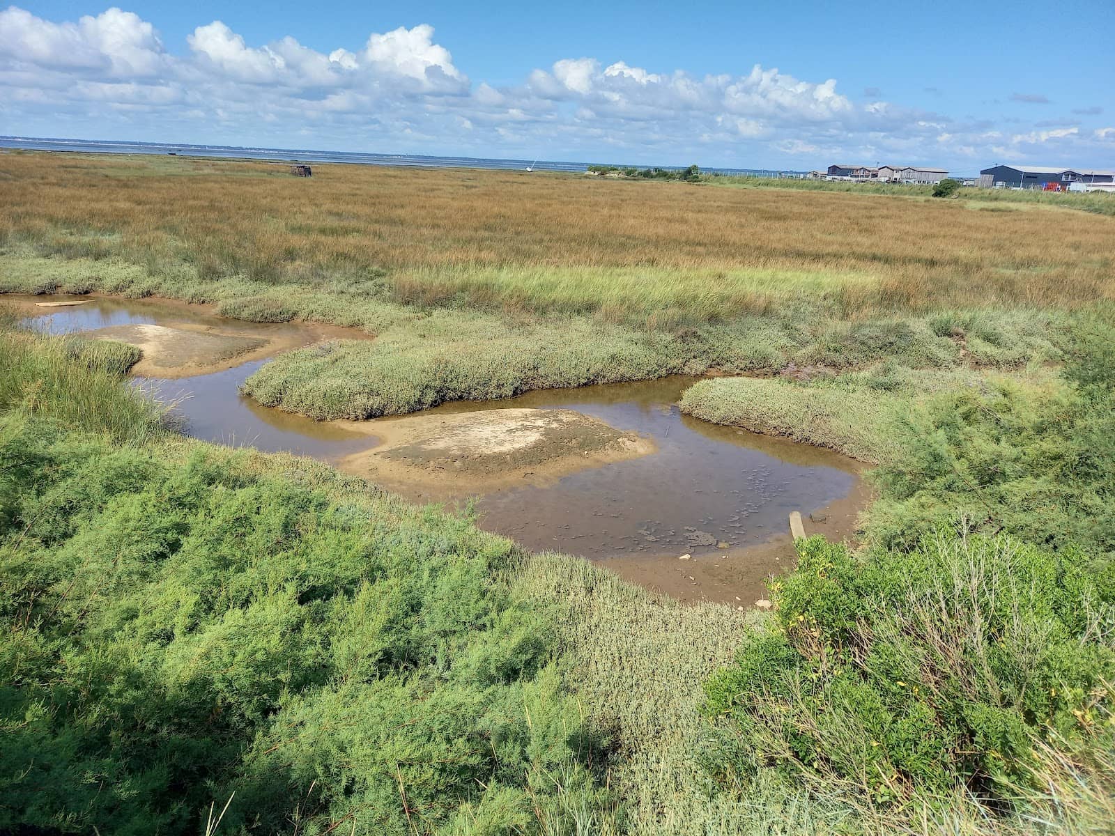 Well-Maintained Coastal Trail