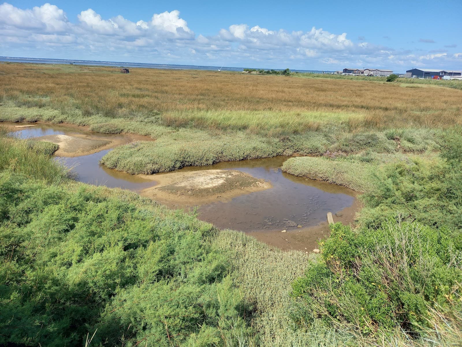 Sentier du Littoral (Gujan section) - Image 1