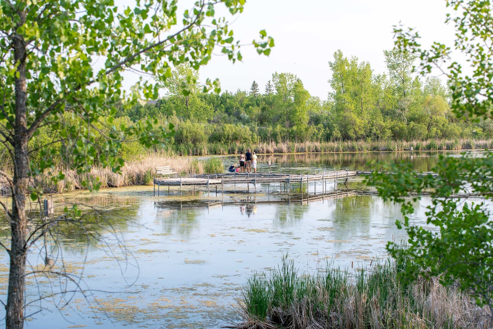 FortWhyte Alive - Image 1