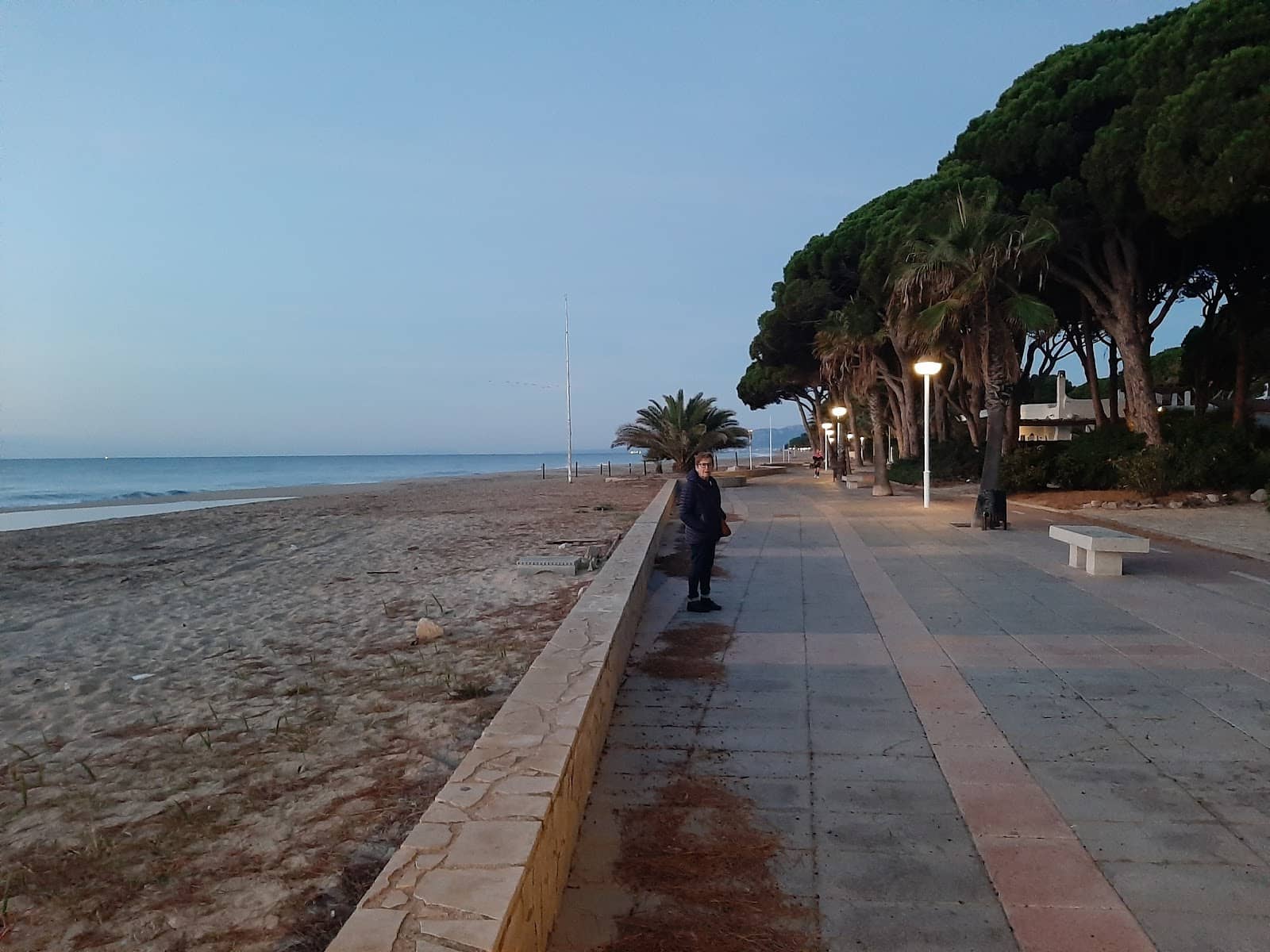 Beachfront Dining & Drinks