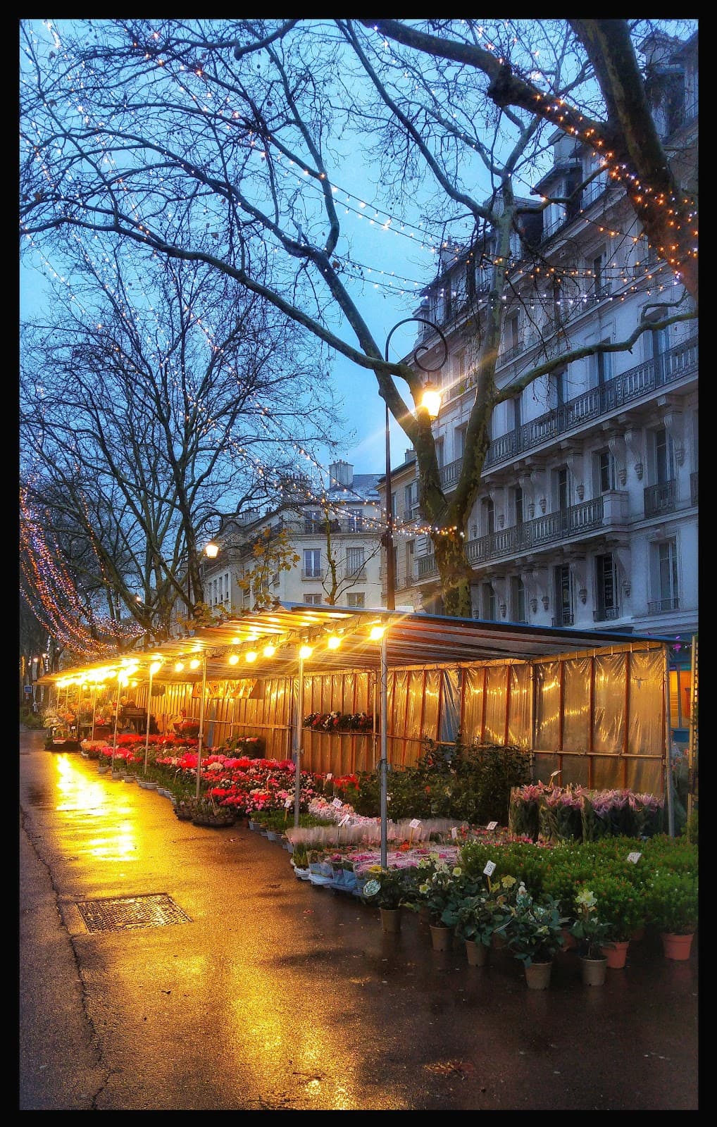 Avenue de Saint-Cloud - Image 1
