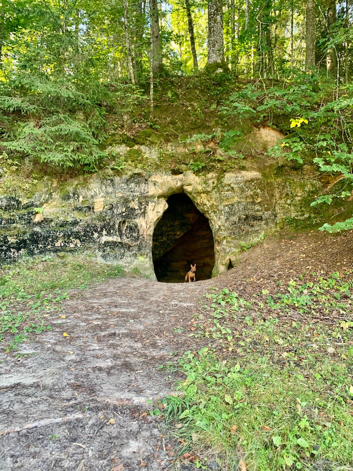 Krimulda Nature Trail & Serpentine - Image 1