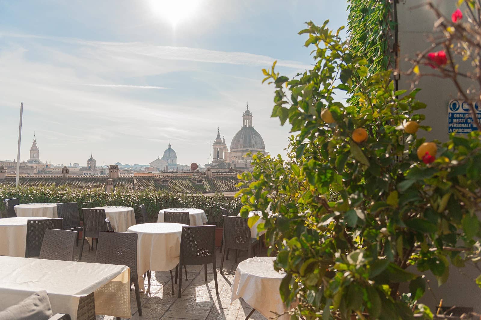 Craft Cocktails & Appetizers