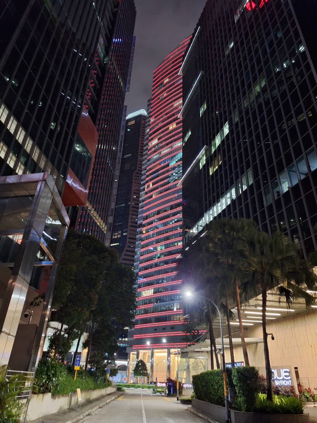 Gourmet Dining Experiences