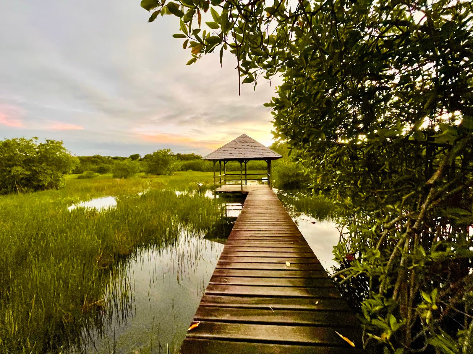 Seafront Promenade (La Digue) - Image 1