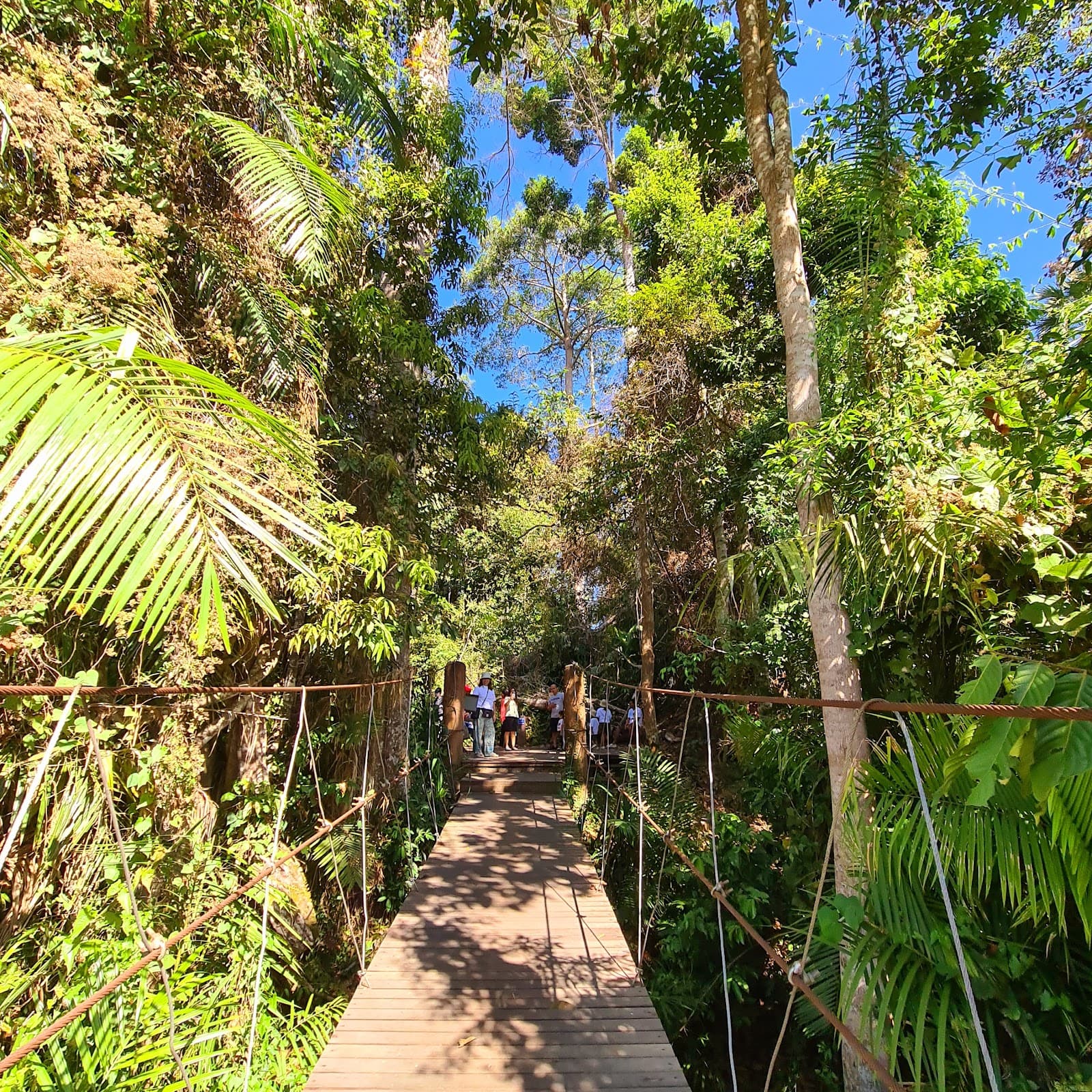 Kong Kaeo Nature Trail - Image 1