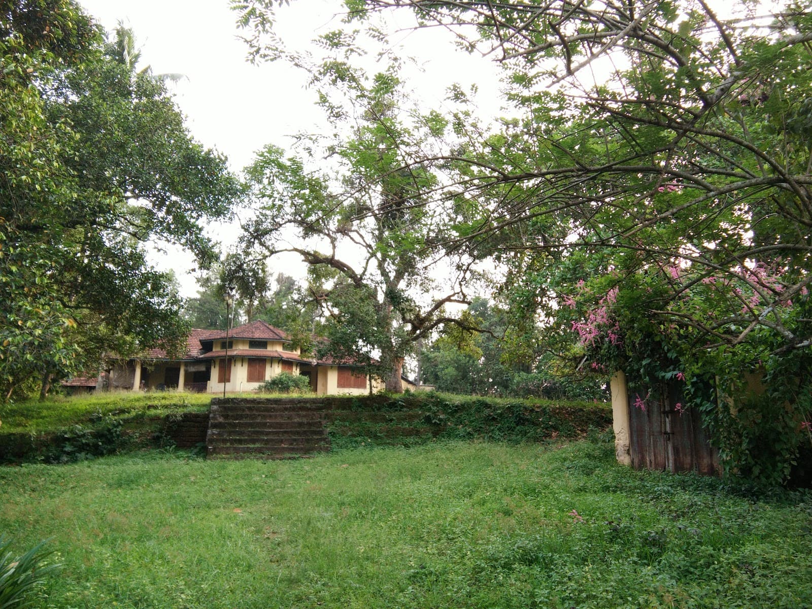 Aymanam Village - Image 1