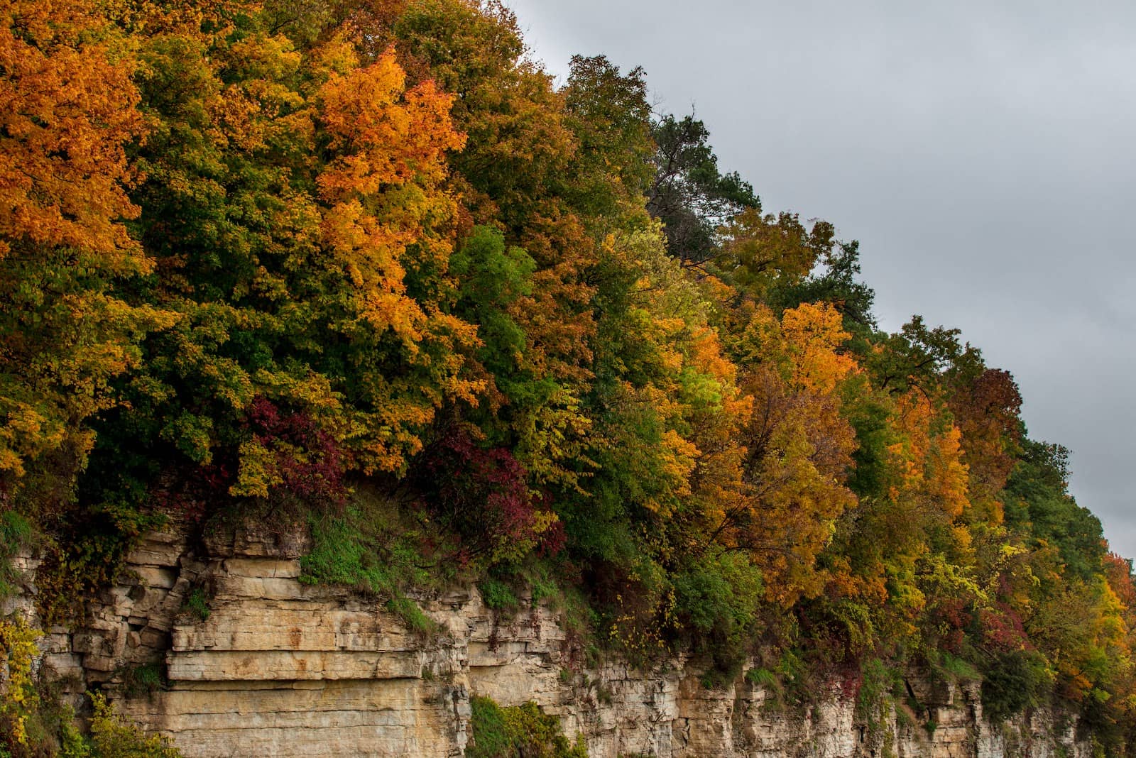 Local Breweries & Eateries