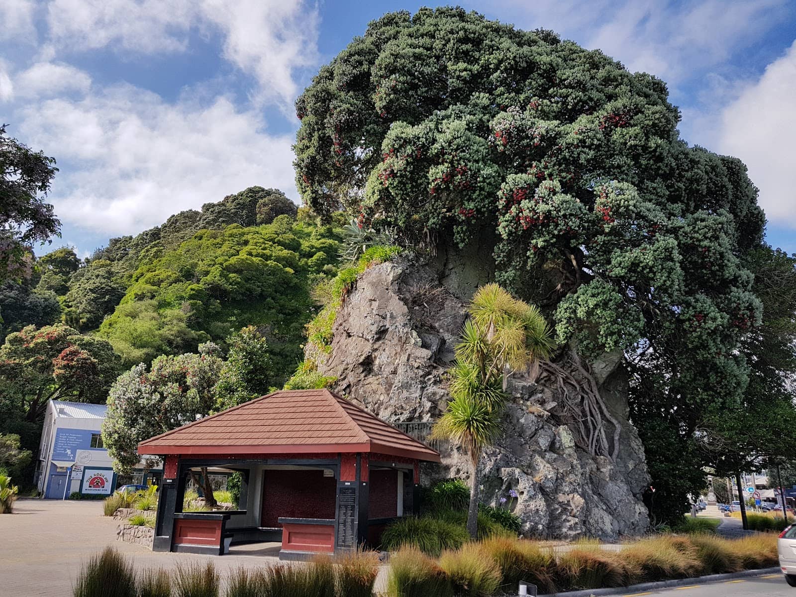 Maori Cultural Significance