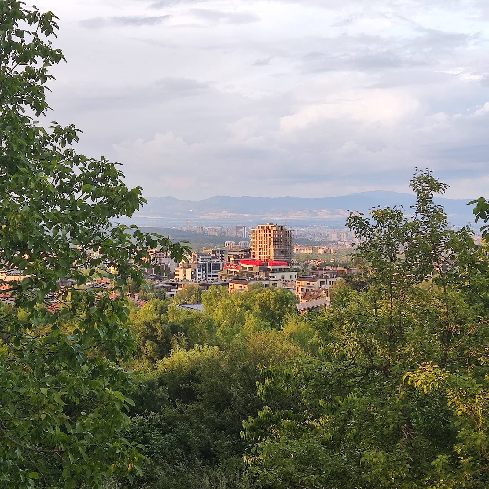 Local Parks and Green Spaces