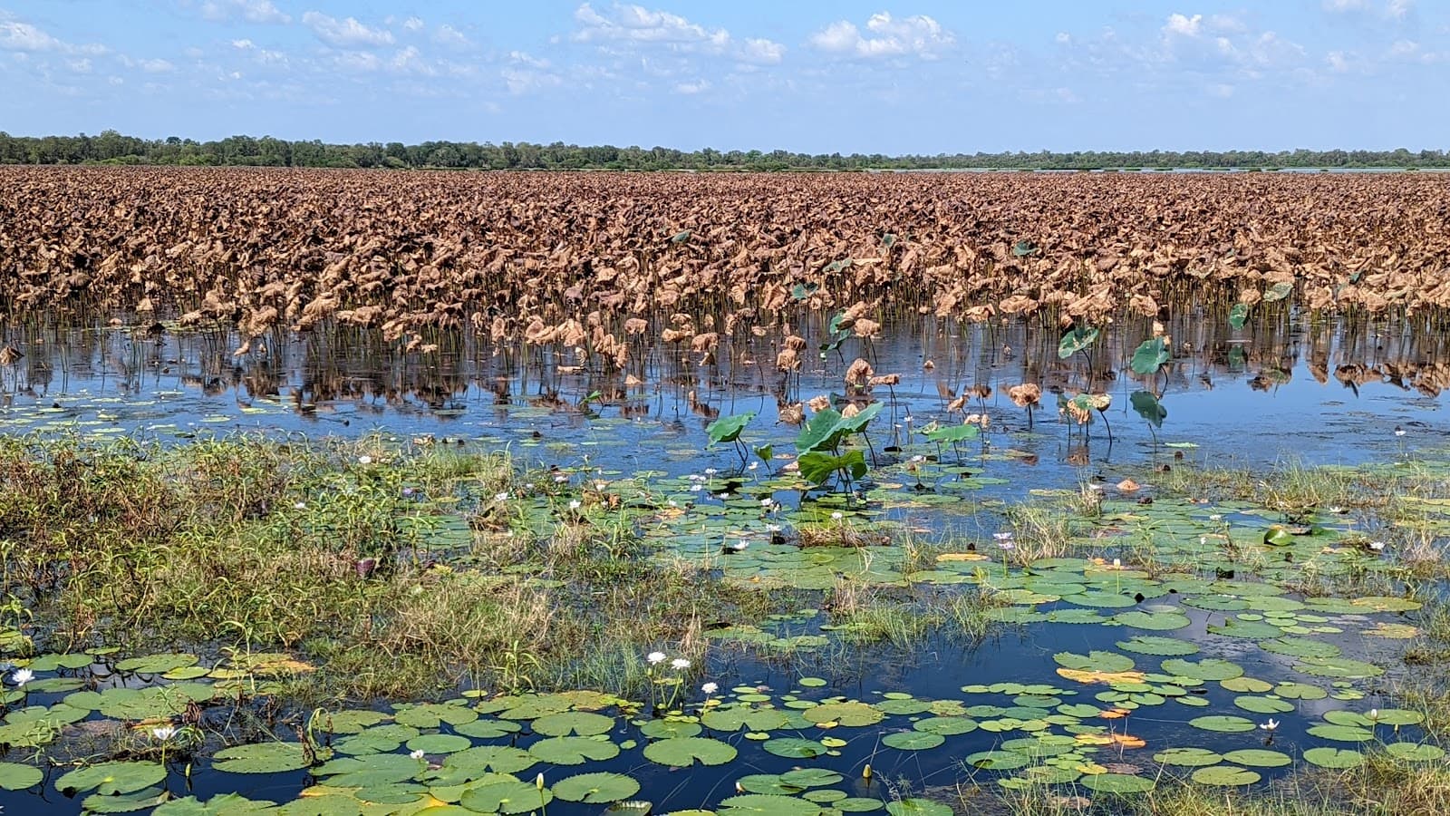 Mamukala Wetlands - Image 1