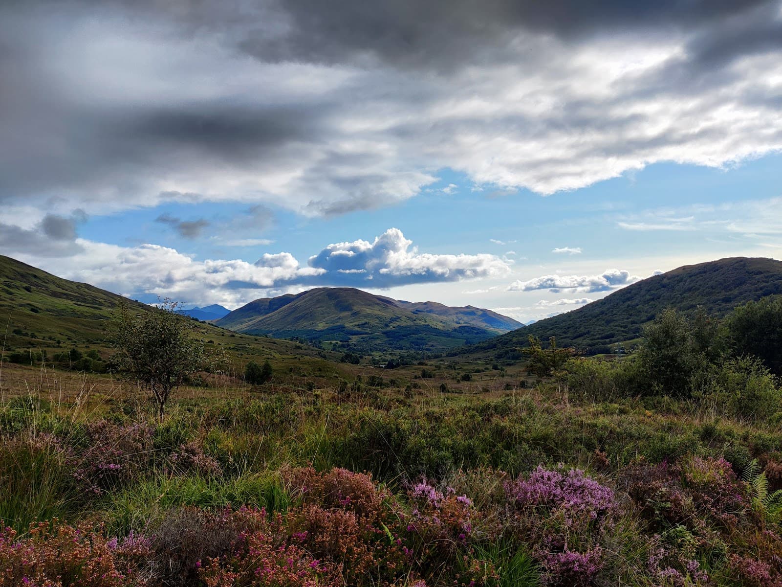 Cow Hill Circuit - Image 1