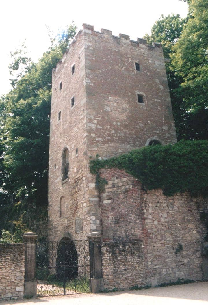 Vertical photo