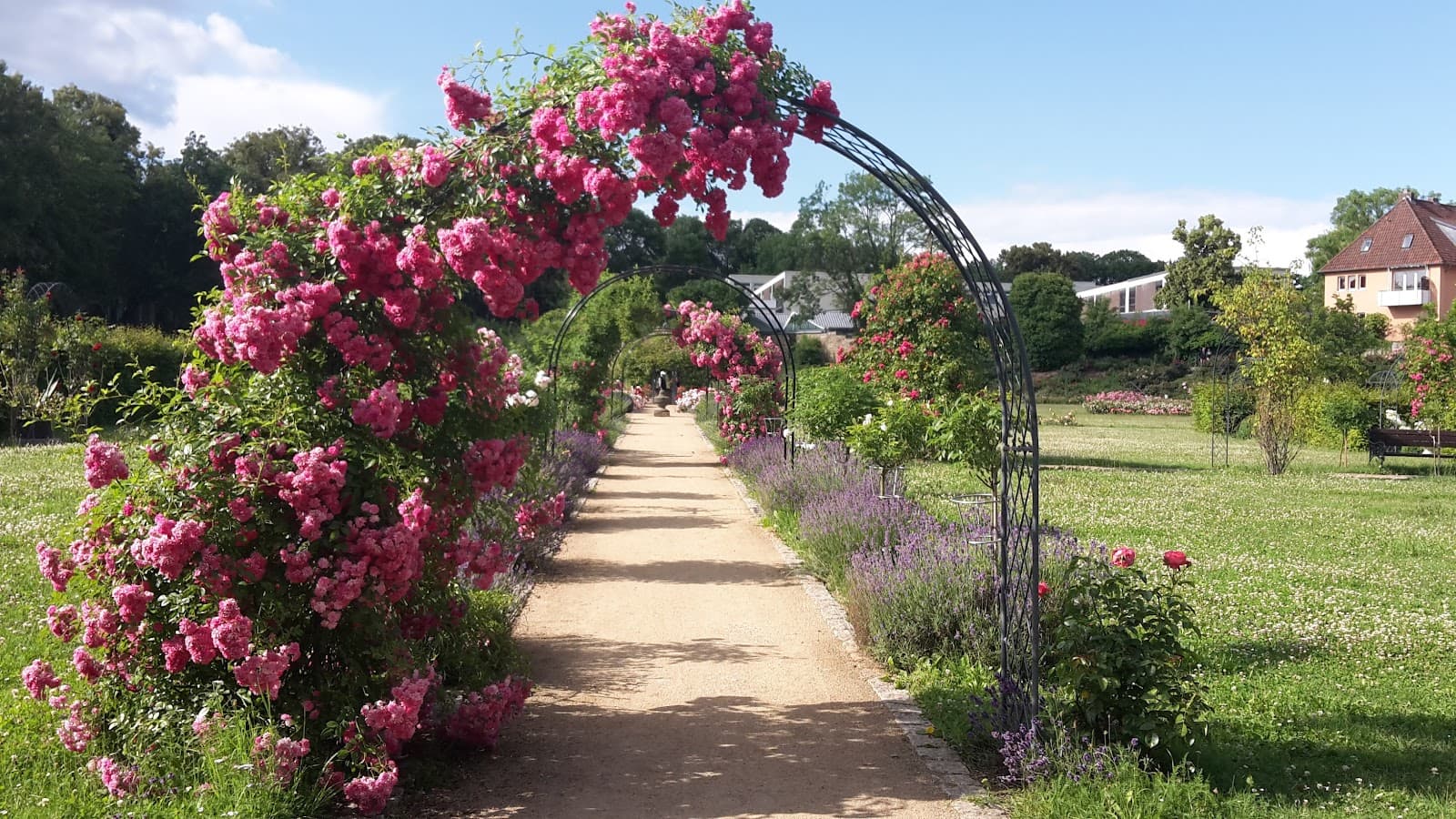 Magdalenengarten - Image 1