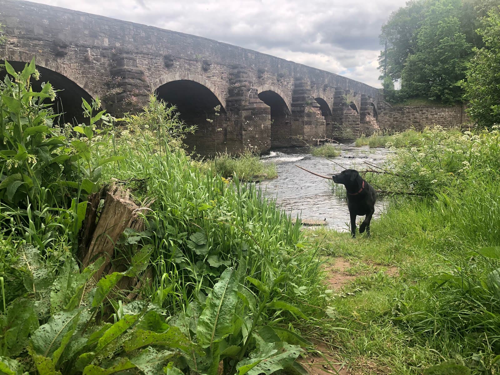 Chain Bridge, Llanfoist - Image 1