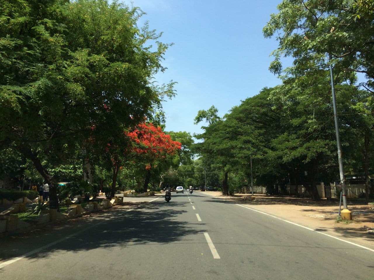 Race Course Road Coimbatore - Image 1