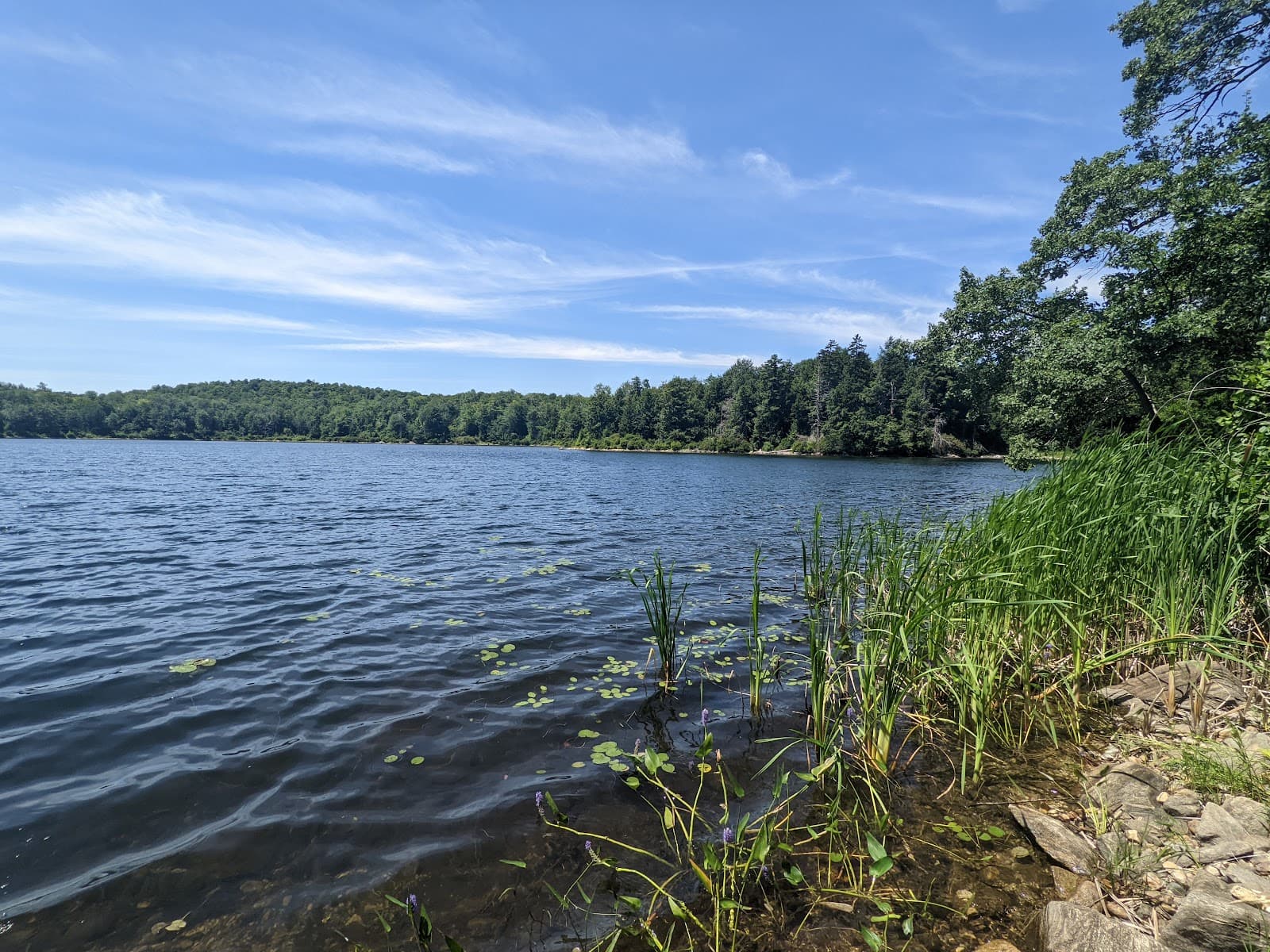October Mountain State Forest - Image 1