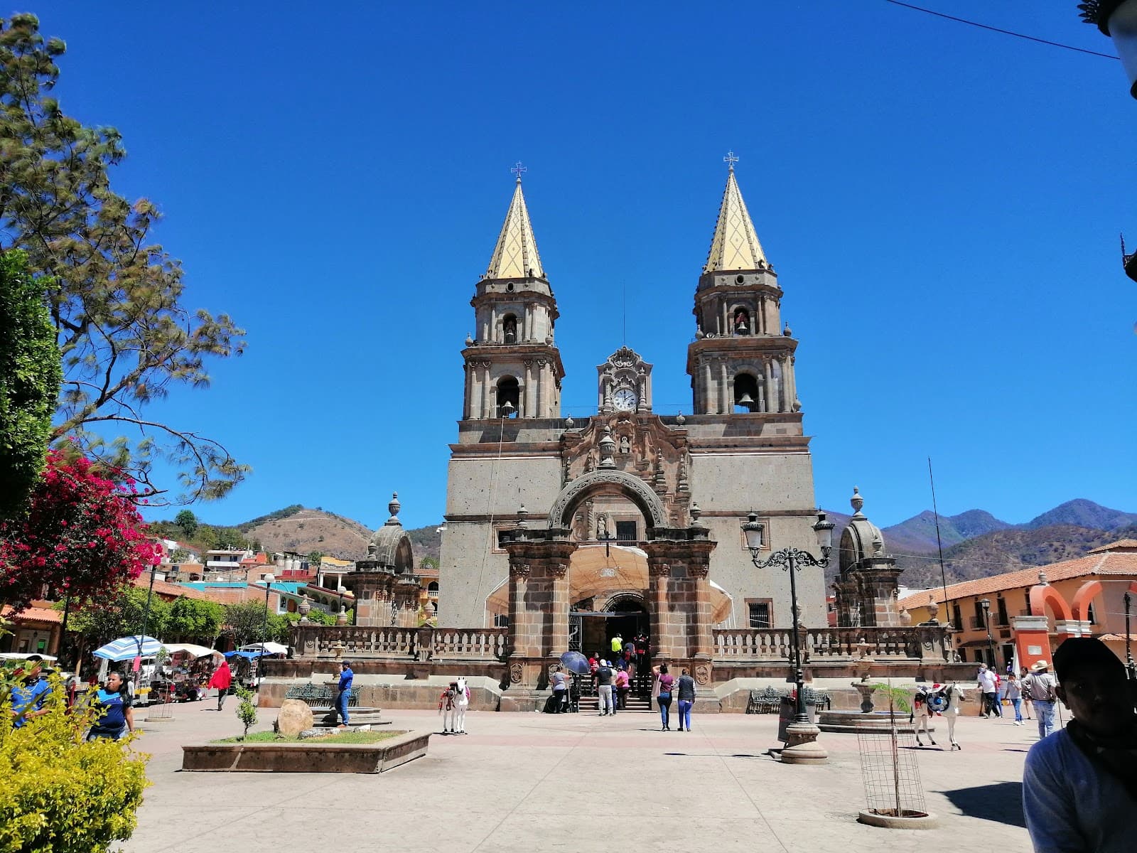 Talpa de Allende - Image 1