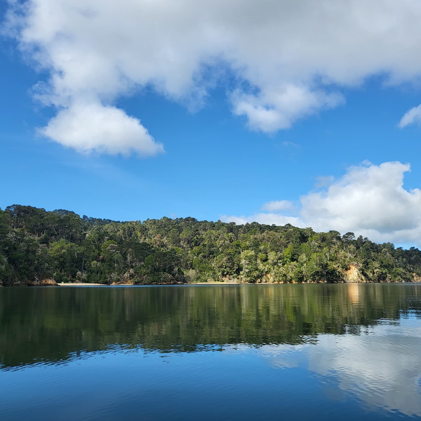 Shell Beach (Tomales Bay SP) - Image 1