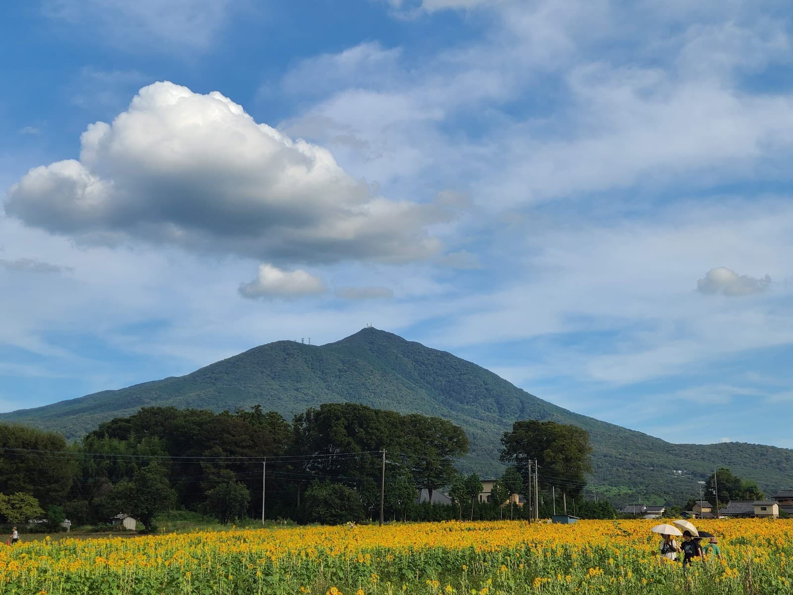 Mount Tsukuba - Image 1