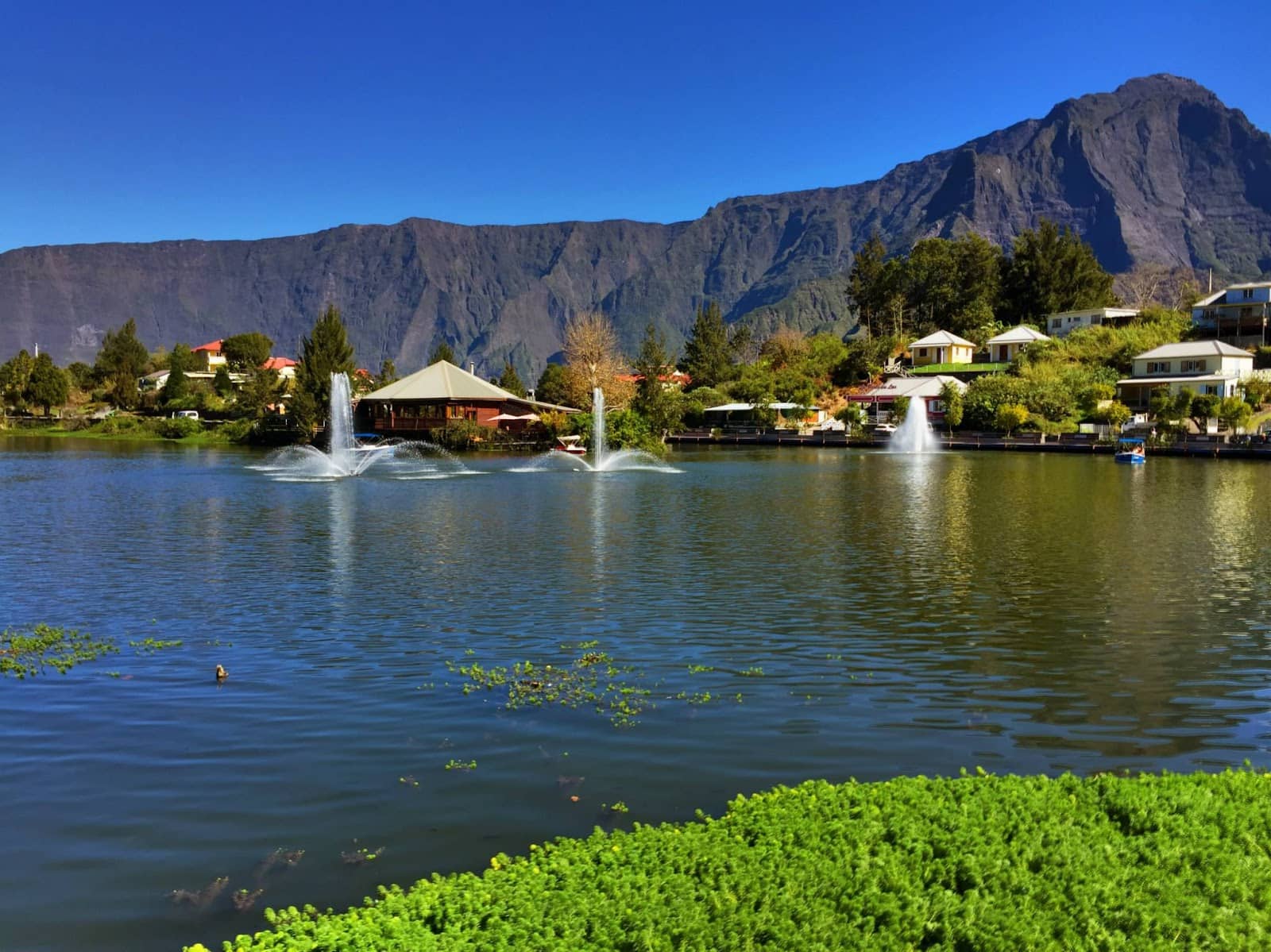 Peaceful Lakeside Stroll