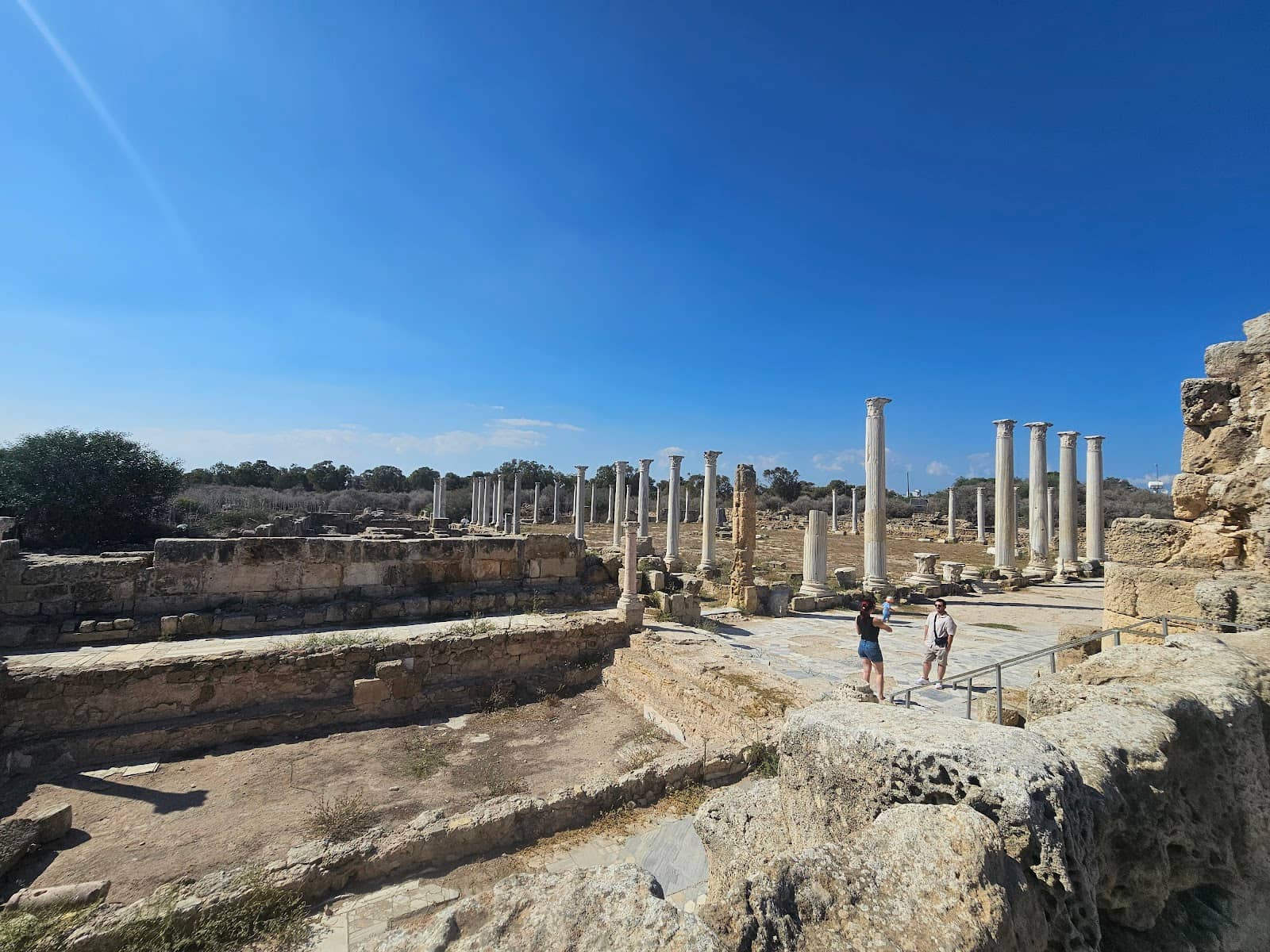 Gymnasium and Palaestra