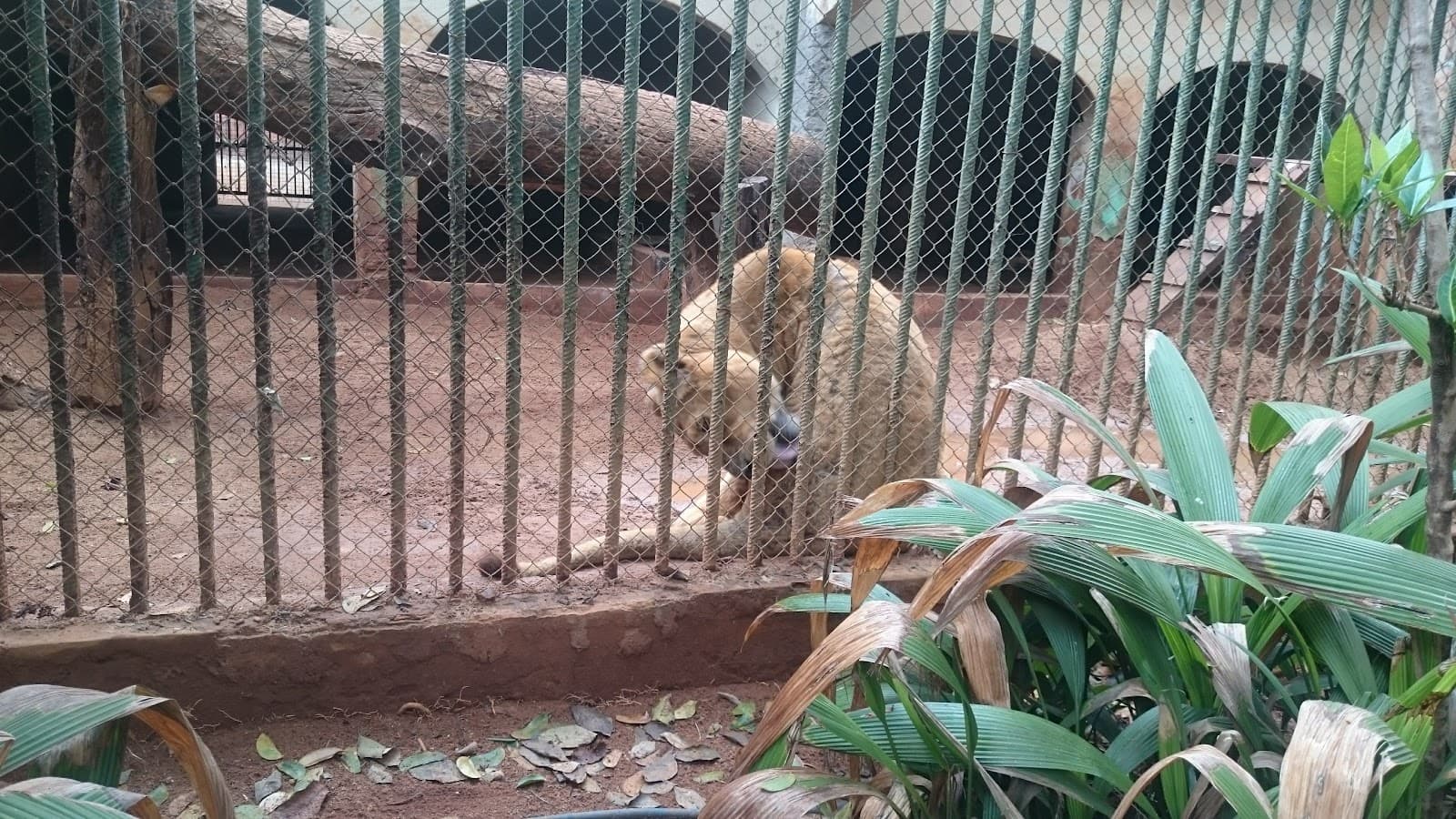 Zoológico Municipal Rio Preto - Image 1