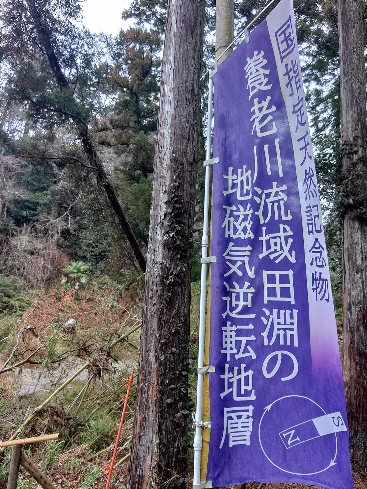 Chibanian Geosite (Chiba Section) - Image 1