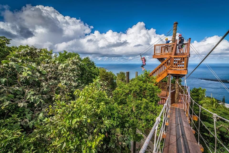 Tree Limin' Extreme Zipline - Image 1
