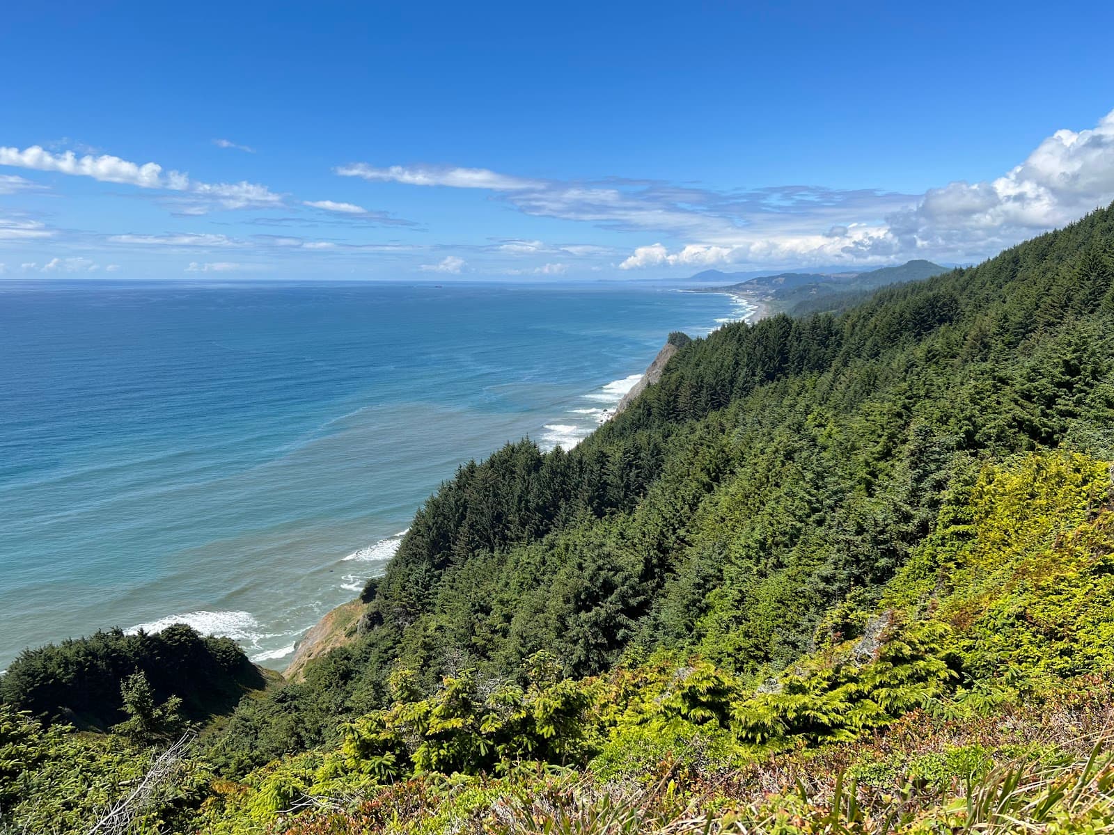 Cape Sebastian State Scenic Corridor - Image 1