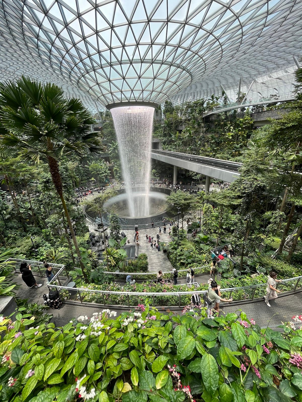 Shiseido Forest Valley, Jewel Changi Airport - Image 1