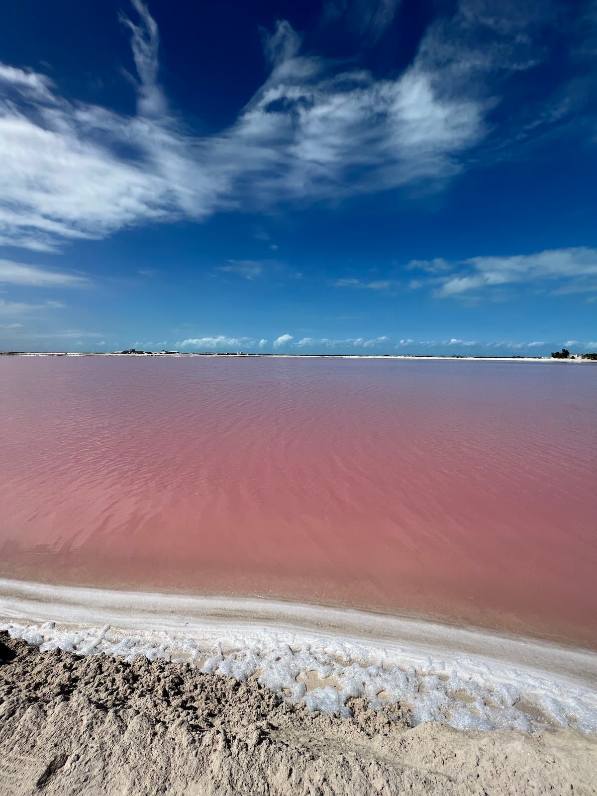 Ría Lagartos and Las Coloradas Yucatán - Image 1